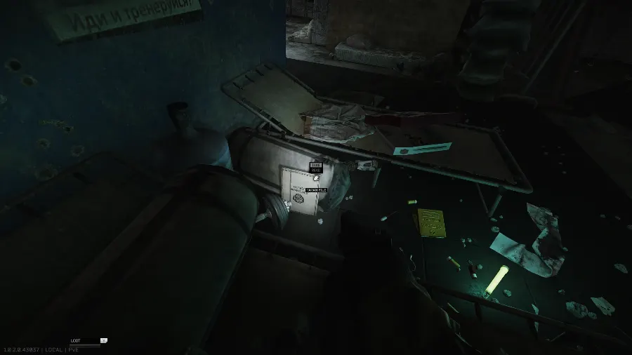 Taran's personal file between the beds
