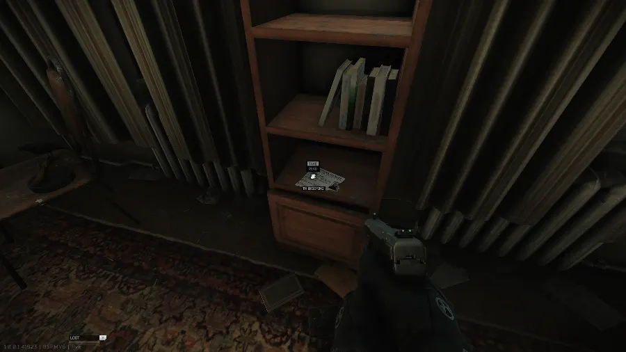 Third spawn in the bottom compartment of the bookshelf