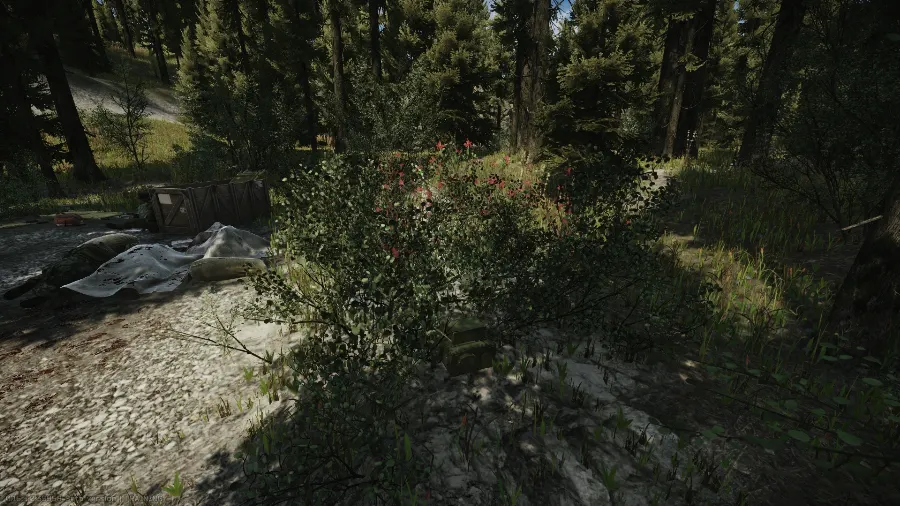 Spawn 4