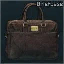 Briefcase with documents