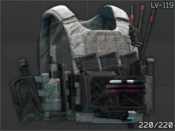 Spiritus Systems LV-119 Plate Carrier (Black Division V1)