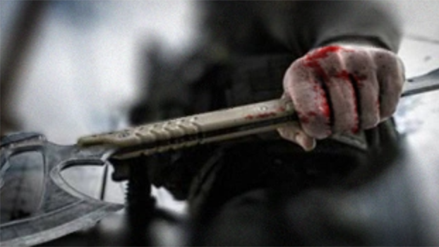 The Survivalist Path - Wounded Beast